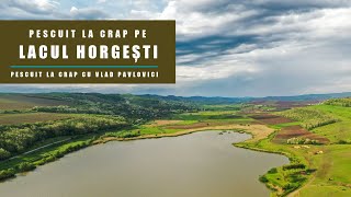 Pescuit la crap pe lacul Horgesti - note și observații