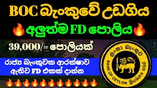 BOC Bank New Fd Rates : Fixed Deposit Rates in Sri lanka 2026 | 100 days investment plan