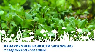 Аквариумные Новости С Владимиром Ковалевым (28.01.2023)