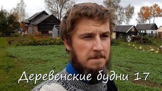 Деревенские будни 17