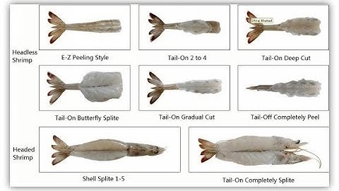 shrimp peeler and deveiner machine