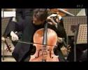 David cohen cello in tchaikovsky rococo variations part i