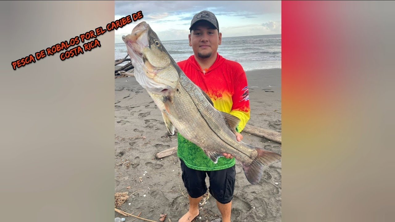 Costa Rica Robalo Róbalo grande. en Limon Costa Rica.😎🎣🇨🇷 - YouTube