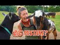 10 Things I Wish I Knew Before Getting Goats 