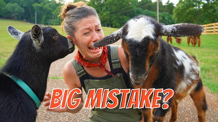 10 Things I Wish I Knew Before Getting Goats