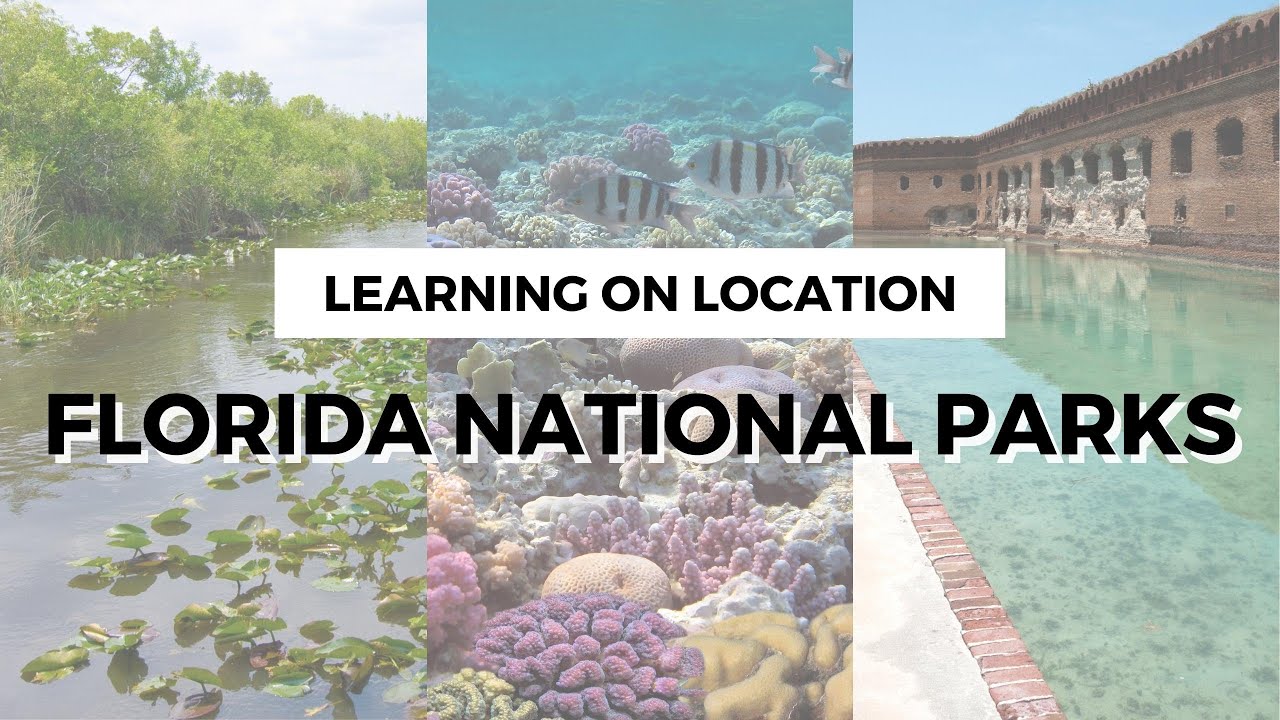 Florida National Parks Must See & Do, Tips for Visiting, & More