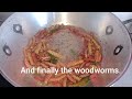 V.9 Carpenter Worm/Wood Larvae-A Naga Delicacy . Explanation in English and Audio in Nagamese.