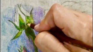 PINTURA EM TECIDO COM LÁPIS DE COR - BOTÕES DE ROSAS