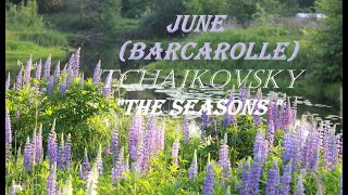 Тchaikovsky | The Seasons 