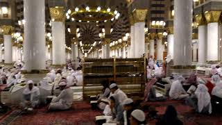 Ngaji di Masjid Nabawi