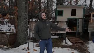 Why You Probably Shouldn't Raise Rabbits In Colonies