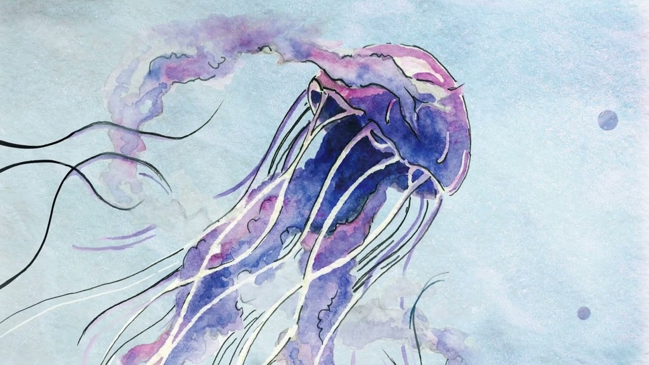 haak - Sensory Overload