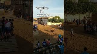 Becerrada ,en arrubal . la Rioja,2025.