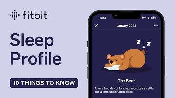 Fitbit Sleep Profile and Sleep Animals (10 Things to Know)