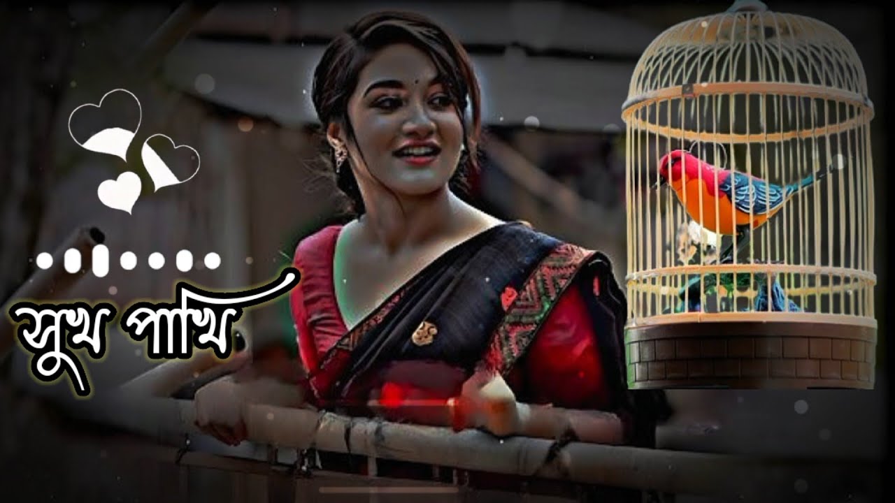 সুখ পাখি তোর প্রেমে মন মজাইয়া আমি / Shukh pakhi tor preme /bm baplu official | F A FUMON | lofi song