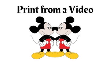 How to Copy from a Video / Used for Gridline Drawing Method