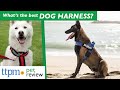 What's the Best Dog Harness? | Do They Work? | (We Tested Them All)