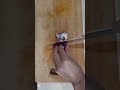 amazing hand slicing garlic ,onion and tomatoes #food #chief #slicing #amazing #viral #shortvideos
