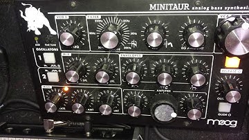 Moog Minitaur (How to make it sound like Taurus 1) Settings