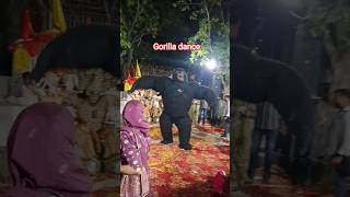 Gorilla Dance #jhanki #jagran #gorilla #viraldance #viral #dance #2026 #shorts #haryanvisong #funny