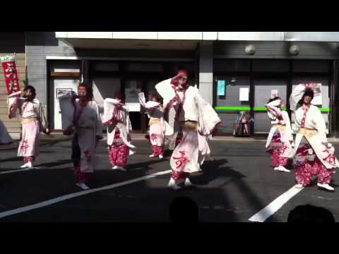 2011よっちょれよさこい【黒蝶舞翔】