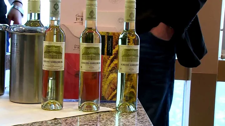 Wein Guide 2014  - HD Video
