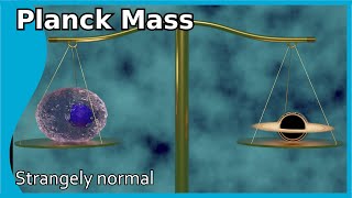 The Planck Mass: Not extremely big and not extremely small