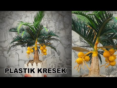 Video: Cara Membuat Batang Kelapa Mentah Coconut