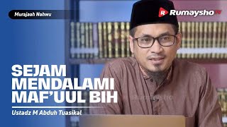 Live Streaming