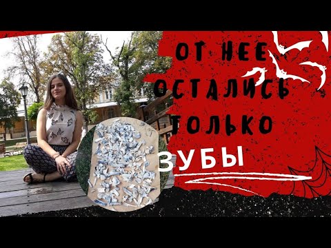 ПЕРЕД СМЕРТЬЮ ОНА ЗВОНИЛА В ПОЛИЦИЮ, НО ЕЙ НЕ ПОМОГЛИ. МОНСТР ИЗ КАРАКАЛА. ГЕОРГЕ ДИНКЭ.