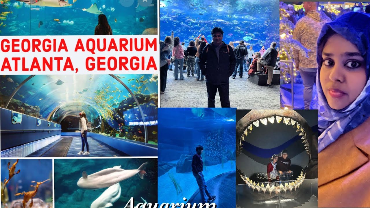 Georgia Aquarium Atlanta 