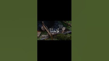 تلاوة خاشعة من أواخر سورة البقرة بصوت المنشاوي | ارح سمعك وطمئن قلبك