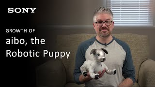 Learn How AI Provides aibo Owners with a Truly Unique Experience | aibo