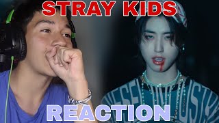 STRAY KIDS \