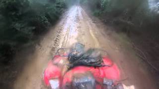 Honda Fourtrax 420 4x4, Hualqui