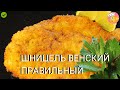 ПОЧЕМУ МОЙ ШНИЦЕЛЬ ТАКОЙ СОЧНЫЙ И ХРУСТЯЩИЙ