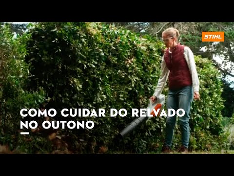 Como cuidar do relvado no outono I STIHL
