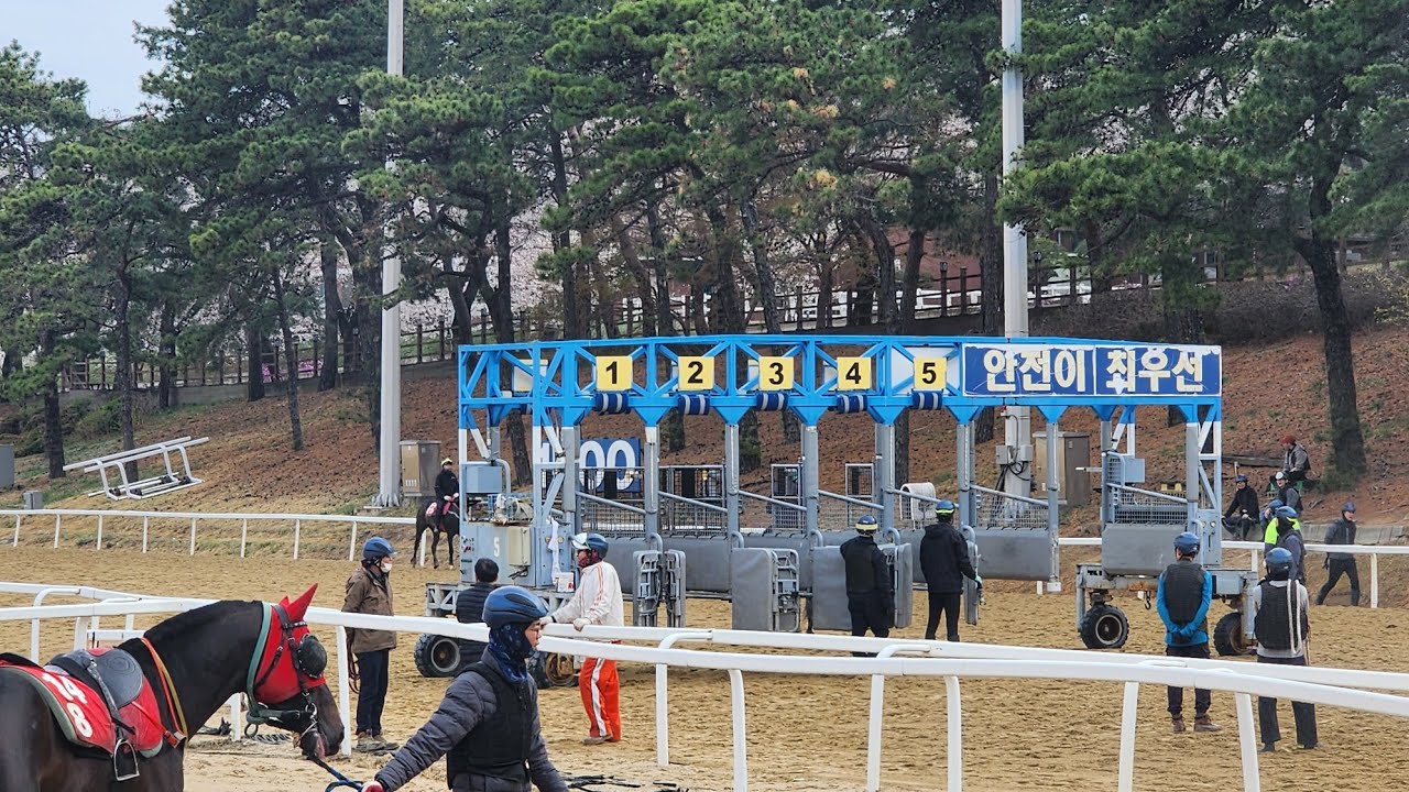 horse rain 그리고 이야기