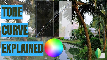 Tone Curve Explained - Using Snapseed - In Hindi