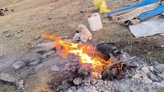 Selam Arkadaşlar Keşfet