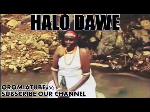 BEST OROMO MUSIC HALO DAWE  OBSII MEE 2017