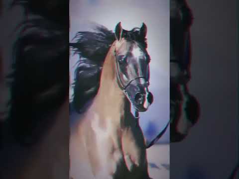 ذهب خوتنا ذهب