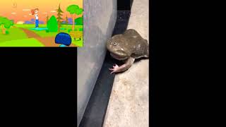 Screaming Frog Gets Put In Water Pixel Pinkie Ninas Wet Feet