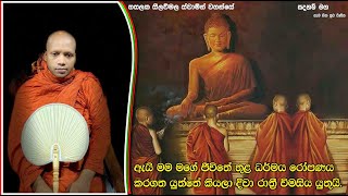 ඇයි මම මගේ ජීවිතේ තුළ ධර්මය රෝපණය කරගත යුත්තේ.2146Ven Hasalaka Seelawimala Thero