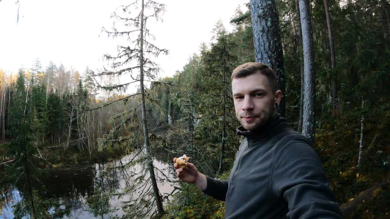 Last Days of Autumn: Hiking, Photos & Hotdogs