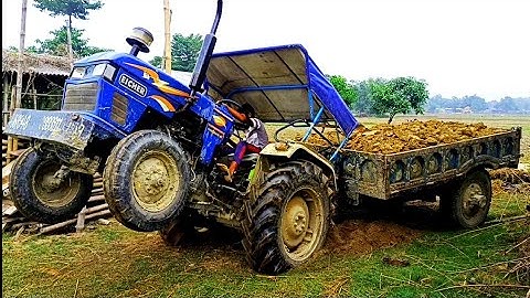 इसे कहते हैं बब्बर शेर | Eicher 333 tractor trolley filled with mud got stuck badly