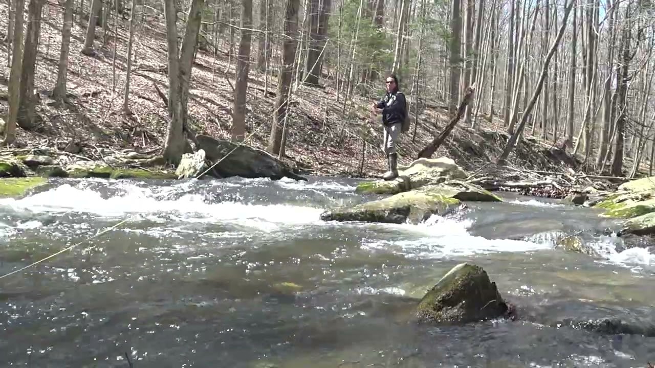 Fly Fishing at Big Hunting Creek Maryland