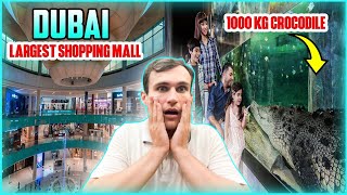 Scary 1000 Kg Crocodile in Dubai Mall, largest shopping mall in the world #dubai #dubailife