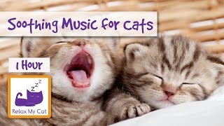 1 HOUR OF MUSIC FOR CATS! Soothe Your Cat With Relaxing Music