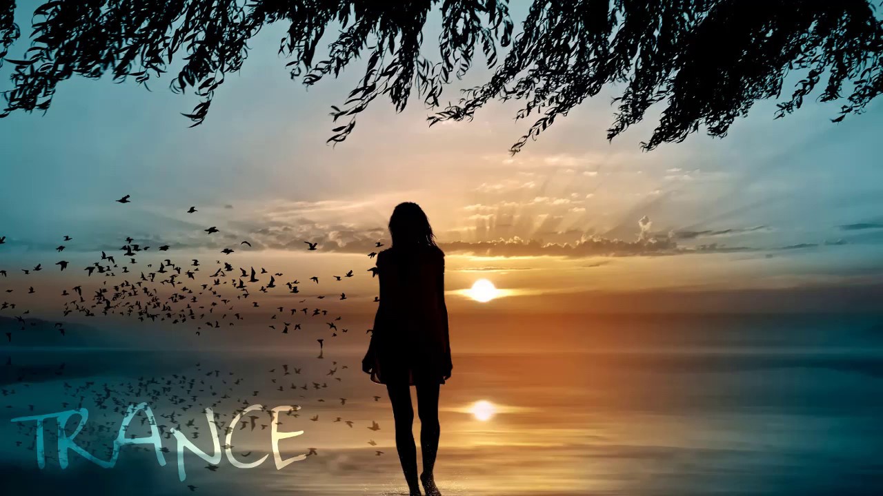 Sunlounger feat. Zara Taylor Crawling (Roger Shah Remix) YouTube